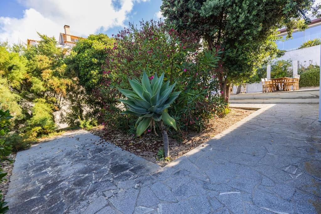 Challet Ericeira Villa Eksteriør bilde