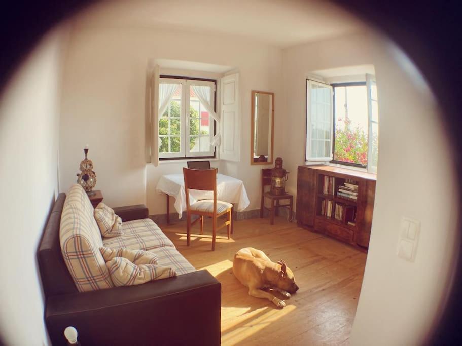 Challet Ericeira Villa Eksteriør bilde
